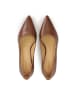Kazar Pumps in Braun