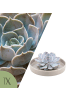 NatureNest Echeveria Lilacina Sukkulente in taupe Keramikschale