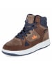 Lico High Sneaker COLDEN in braun