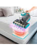 Clean Maxx Milben-Handstaubsauger mit UV-C-Licht 450W grau/blau grau