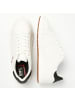 British Knights Sneaker Axton in weiss/schwarz