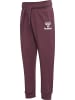 Hummel Hosen Hmlelvina Pants in PLUM WINE