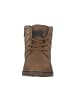 Tom Tailor Stiefeletten in CAMEL