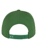  Flexfit Snapback - Classic in classic green