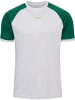 Hummel Hummel T-Shirt Hmlpulse Multisport Herren in VERDANT GREEN
