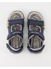 Geox Sandalen in Blau