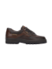 Mephisto SHOES "Barracuda" in mamouth 751 / dark brown