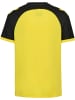 Hummel T-Shirt Raglanärmel Hmlmatch Kinder in BLAZING YELLOW/BLACK