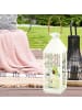 Mr. & Mrs. Panda Windlicht Avocado Tanzen ohne Spruch in Transparent