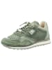 Cetti Sneaker in grün