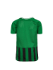 Nike Performance Fußballtrikot Striped Division III in grün / schwarz