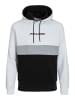 Jack & Jones Sweatshirt JJEREID BLOCKING in Mehrfarbig