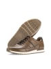 Gabor Sneaker low in braun