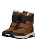 Geox Stiefel in Dunkelbraun/Braun