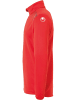 uhlsport  Trainingsjacke "Goal 1/4 Zip Top" in Rot