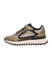 Floris van Bommel Sneaker Low in Gold