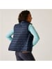 Regatta Steppweste Hillpack in Navy