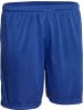 Derbystar Kindersporthose "Basic Hose" in Blau