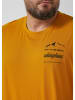 s.Oliver T-Shirt in 16D2_honiggelb