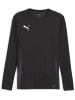 Puma Sportshirt "TeamGoal Longsleeve Jersey" in Schwarz