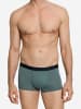 Hanro Retro Pants Micro Touch in studio green