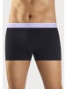 Bruno Banani Boxer in schwarz