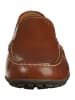 Geox Slipper Coffee