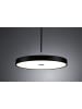 paulmann WD Hildor ZB Pendel dim LED 20W Sz 300 mm Schwarz