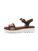 ara Sandalen in Braun