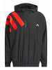 adidas adidas Trainingsjacken in black