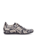 Gabor Sneaker low in multicolour