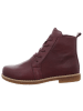 Andrea Conti Stiefelette in bordeaux