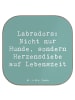 Mr. & Mrs. Panda Untersetzer für Gläser Spruch Labrador Herzensd... in Meeresbrise