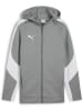 Puma Jacke "TeamEVOSTRIPE Hooded Jacket" in Grau
