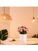 relaxdays Blumentopf Safe in Weiß - (H)13 x ∅12,5 cm