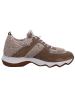 Donna Carolina Schnürschuh in beige