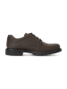 Pius Gabor Klassische Schnürschuhe in Braun