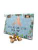Mr. & Mrs. Panda Adventskalender Hund Hunde Liebe mit Spruch in Eisblau