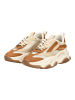 Steve Madden Sneaker in Braun/Weiß