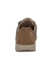 Solidus Sneaker Low in braun