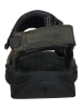 Keen Wanderschuhe in Grau/Schwarz