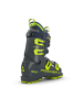 Fischer Skistiefel Alpin in grau