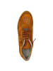 Cetti Sneaker  in Orange