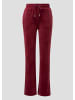 QS Hose  in  3900_bordeaux