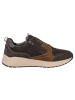 Sioux Sneaker Tasulio-702-J in braun