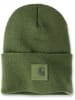 CARHARTT  Mütze "Black Label 101070" in Grün