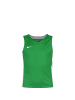 Nike Performance Basketballtrikot Team Stock 20 in grün / weiß