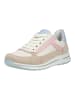 ara Sneaker in Beige/Pink