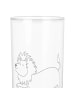 Mr. & Mrs. Panda Wasserglas Sternzeichen Löwe ohne Spruch in Transparent