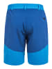 Whistler Trekkingshorts AVIAN M ACTIV STRETCH in 2062 Brilliant Blue